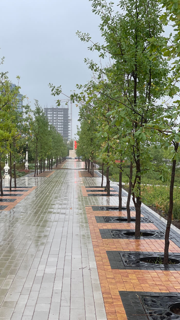 Приствольная решетка для дерева ZKING CRUST 1.2х1.2м Черная в Саратове фото